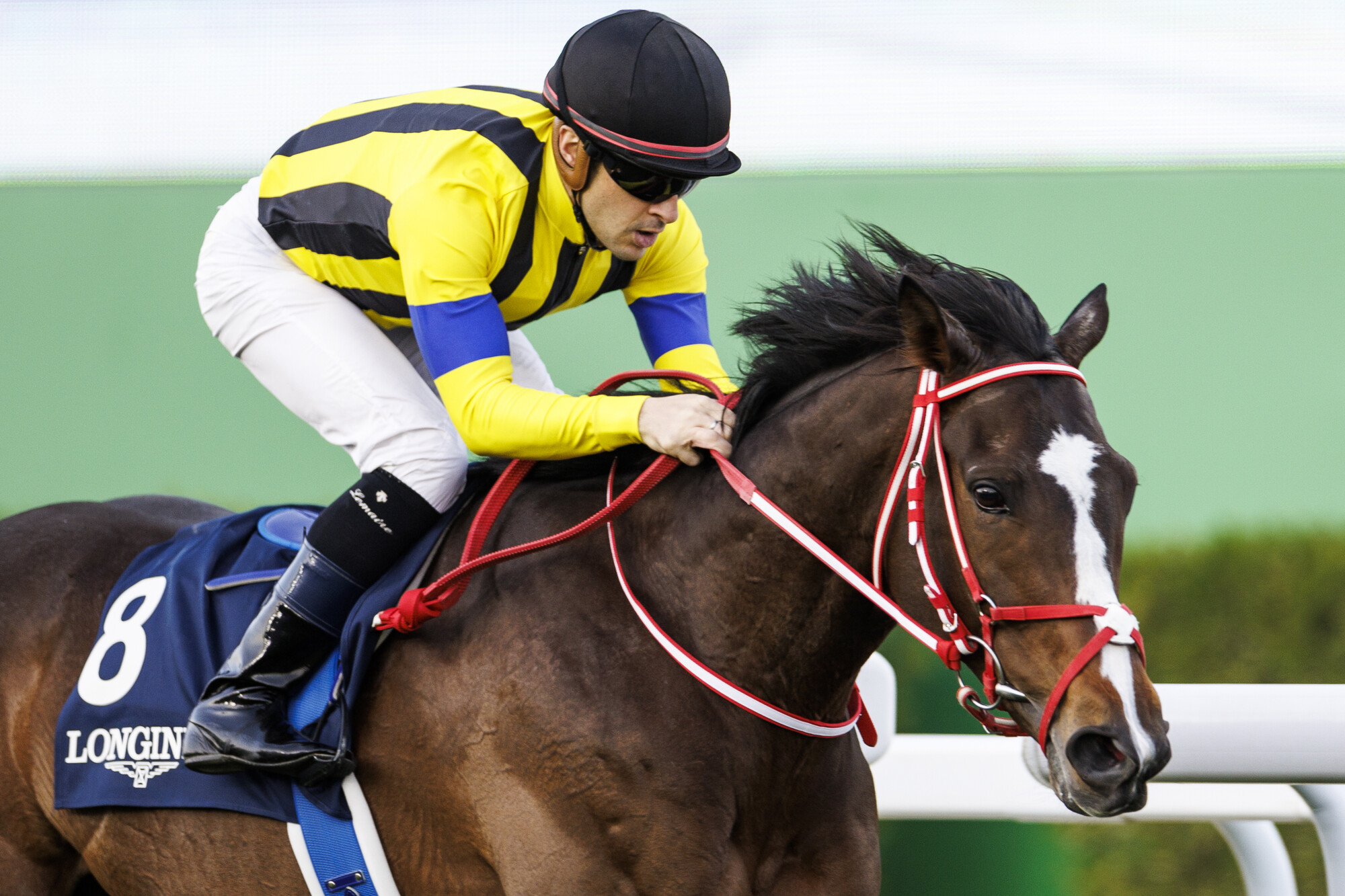 Stay Foolish y Christophe Lemaire vencieron en el Longines Red Sea